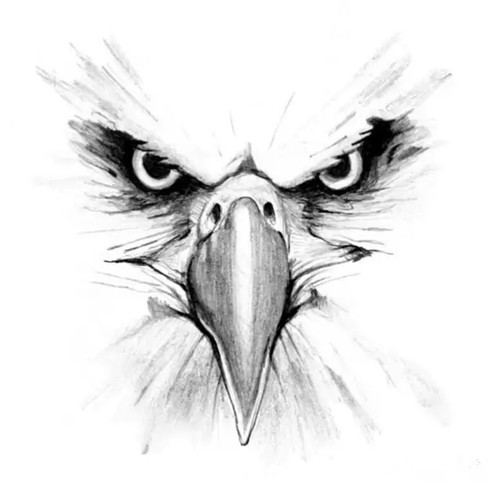 点击大图看下一张：展翅高飞的雄鹰纹身手稿集图8
