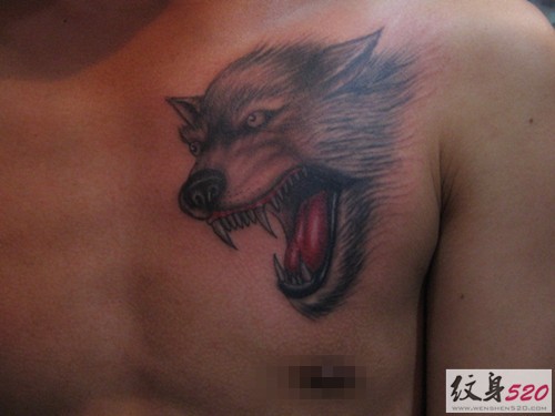点击大图看下一张：男性胸部霸气狼头纹身图片图2