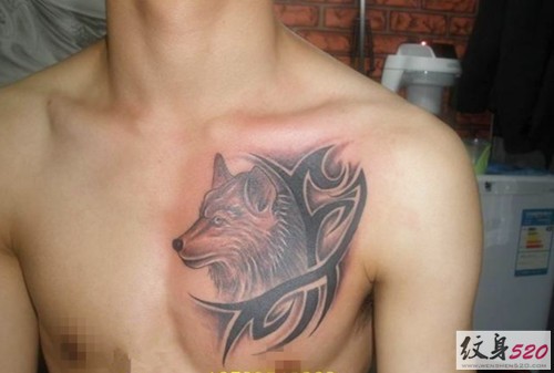 点击大图看下一张：男性胸部霸气狼头纹身图片图3