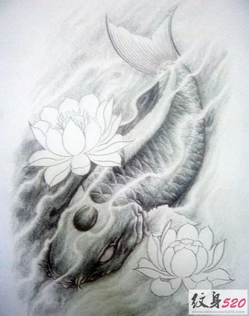 点击大图看下一张：鲤鱼莲花纹身手稿图2