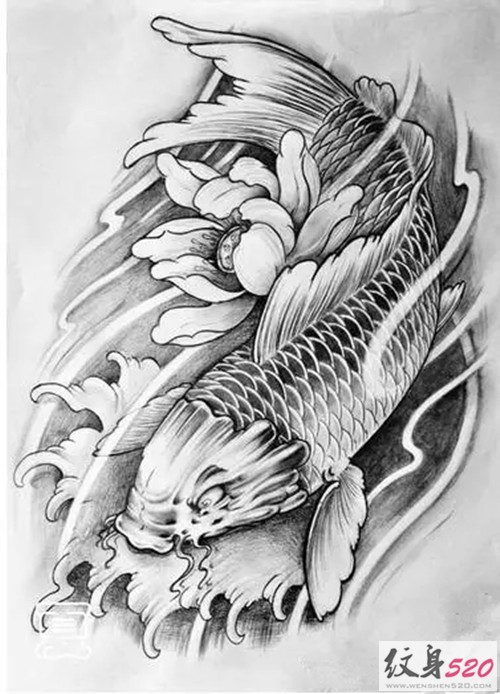 点击大图看下一张：鲤鱼莲花纹身手稿图4