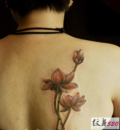 点击大图看下一张：圣洁的莲花纹身图案图4