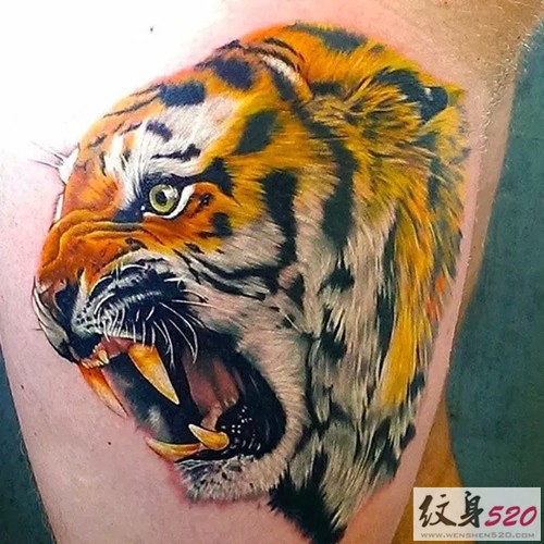 点击大图看下一张：嘶吼的老虎纹身图案大全图2