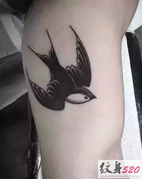 点击大图看下一张：可爱的黑白燕子纹身图案大全图6