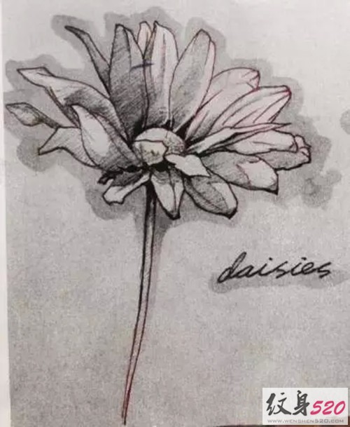 点击大图看下一张：简单清新的小雏菊纹身手稿图4