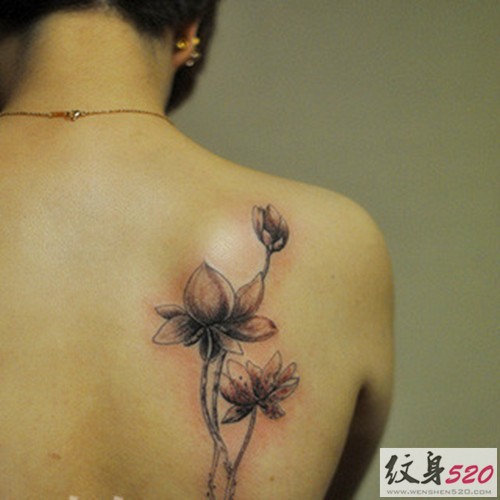点击大图看下一张：肩部高贵圣洁的莲花纹身图4