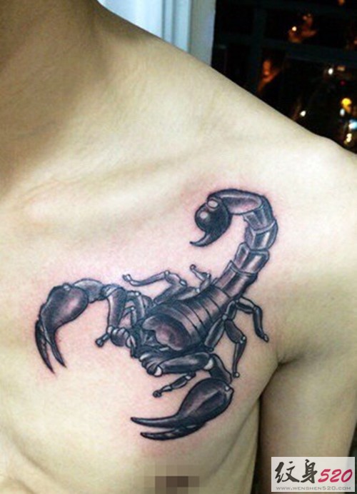 点击大图看下一张：男士胸口逼真的蝎子纹身