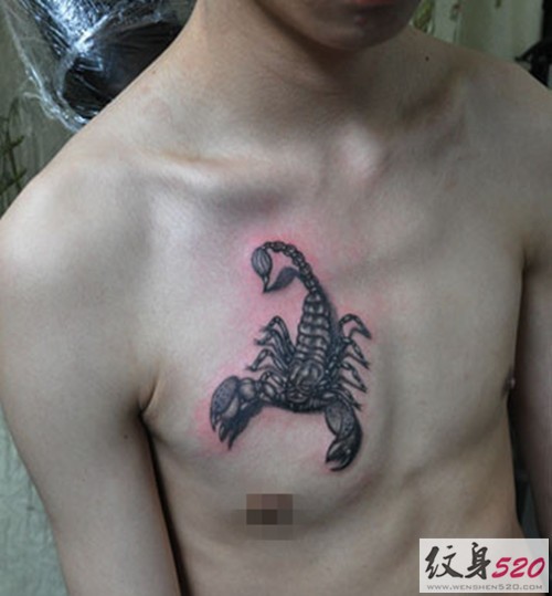点击大图看下一张：男士胸口逼真的蝎子纹身图3