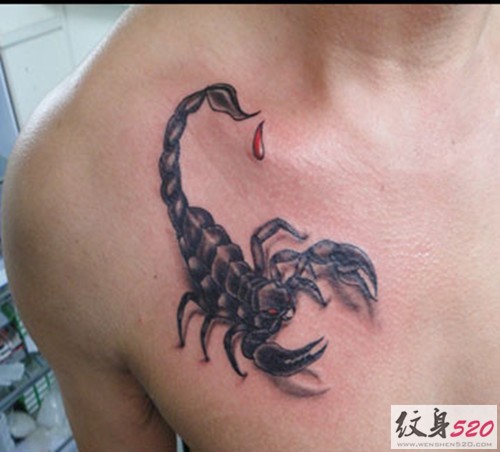 点击大图看下一张：男士胸口逼真的蝎子纹身图4