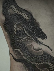 侧腰部的个性黑白蛇图案纹身
