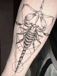 天枰与天蝎完美结合的手臂纹身
