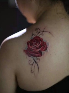 性感的香肩配着一朵红玫瑰纹身