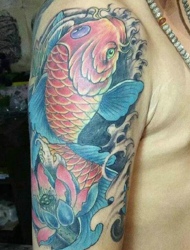 落在大臂上的红鲤鱼和荷花纹身