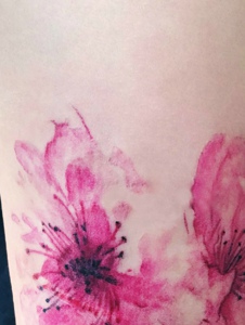清新盛开的小樱花纹身图片