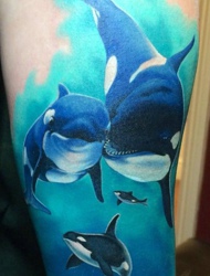 超级漂亮可爱的3d彩色海豚纹身