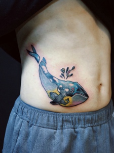 停留在腰部上的水灵海豚纹身图片