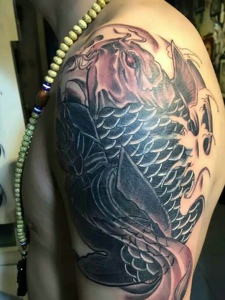 绕过肩膀的黑白鲤鱼纹身图片