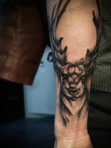 可爱动人的手臂鹿头纹身图片