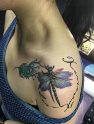 处在左侧肩膀的小蜻蜓纹身特别可爱