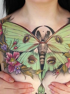 抢眼的花色蝴蝶胸前纹身