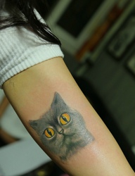 女生手臂上的可爱小猫咪图案纹身
