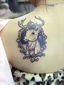 性感美女后背的小鹿纹身图片