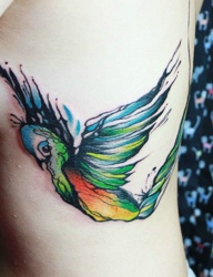 飞落在女生肌肤上的五彩小鸟个性图案纹身