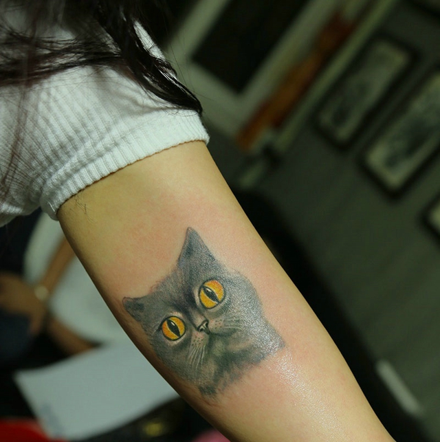 点击大图看下一张：女生手臂上的可爱小猫咪图案纹身(1/1)