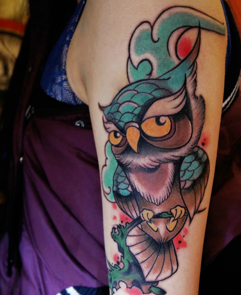 点击大图看下一张:非常可爱的大臂彩色猫头鹰刺秦(1/1)