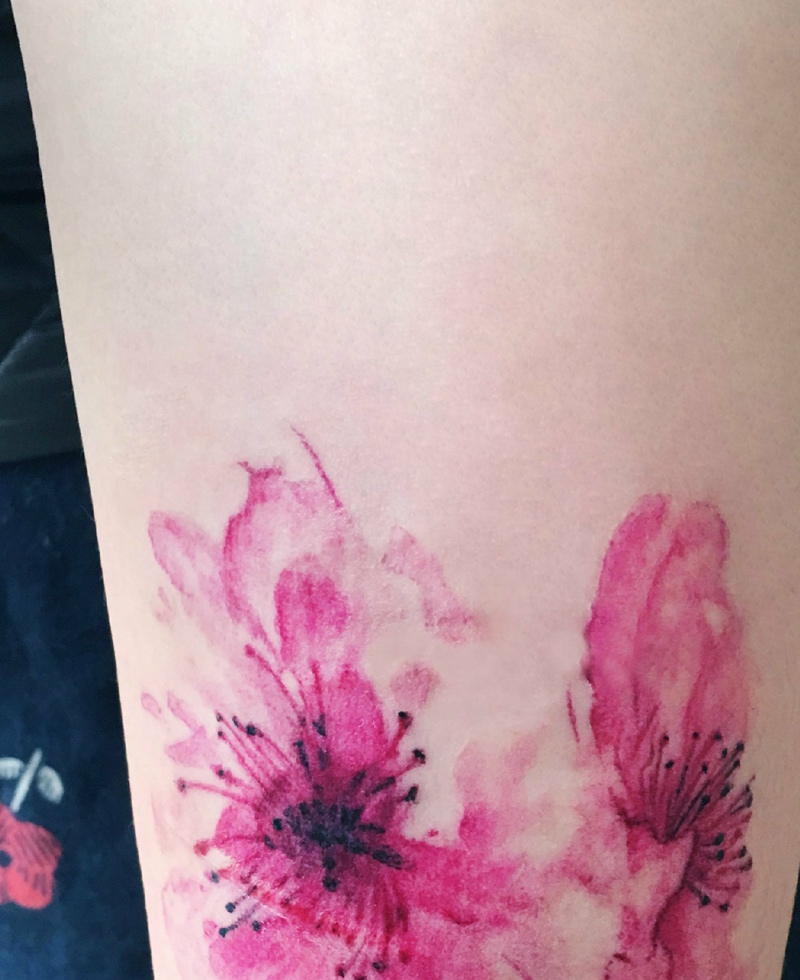 点击大图看下一张：清新盛开的小樱花纹身图片(1/1)