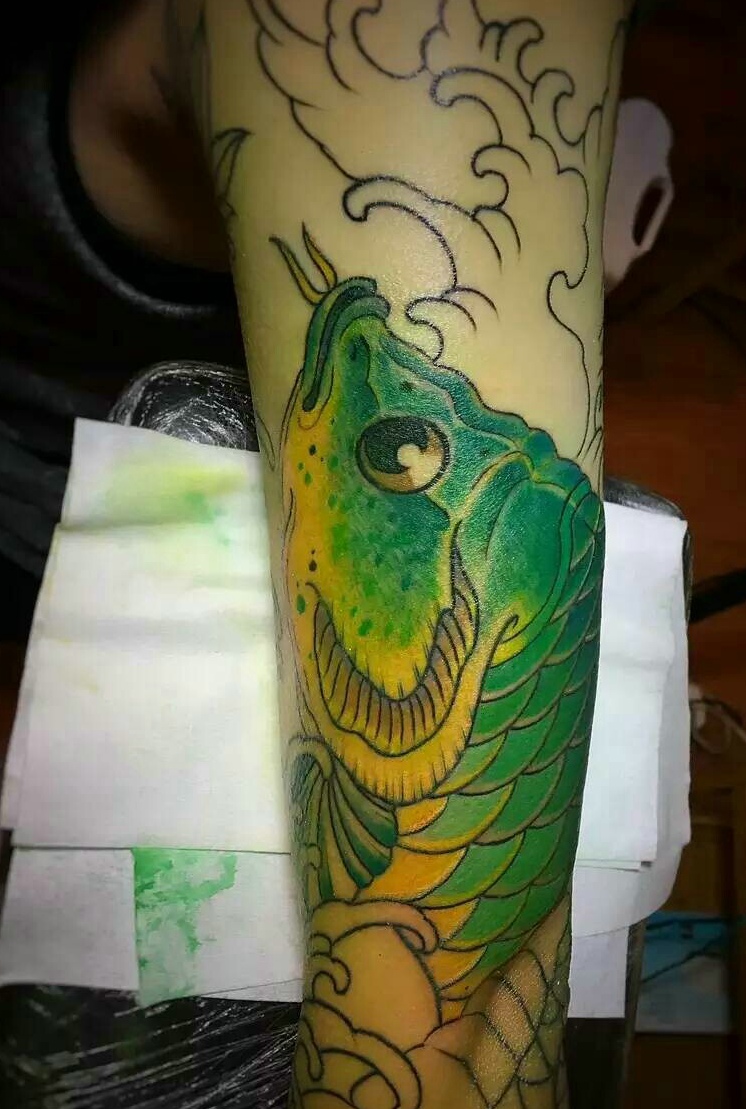 点击大图看下一张：独特的绿色鲤鱼纹身图片很抢眼(2/2)
