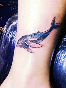 裸脚可爱的彩色小海豚纹身图片