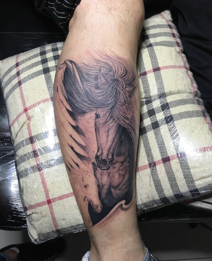 点击大图看下一张：腿部个性艺术的黑灰骏马纹身图片