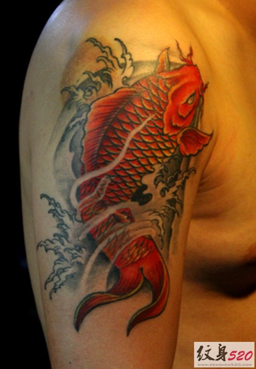 点击大图看下一张：大臂招财鲤鱼纹身图片图4