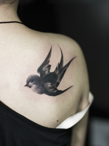 精致可爱的燕子纹身图片