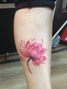 美丽盛开的莲花腿部纹身图案