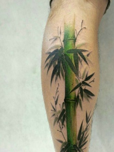 遮盖腿部的漂亮山竹纹身刺青