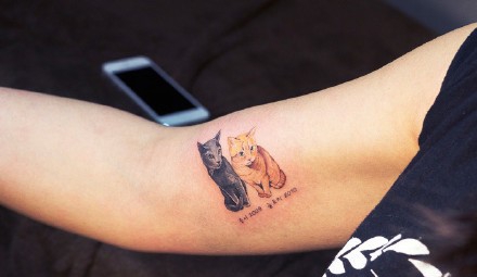 点击大图看下一张：爱猫人士最喜欢的手臂上的猫纹身