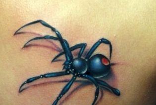 点击大图看下一张:肩部逼真写实的蜘蛛纹身图案