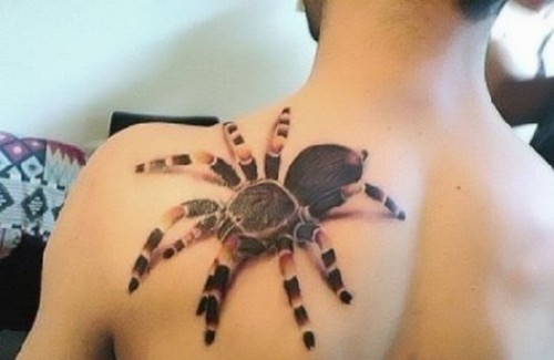 点击大图看下一张:肩部逼真写实的蜘蛛纹身图案