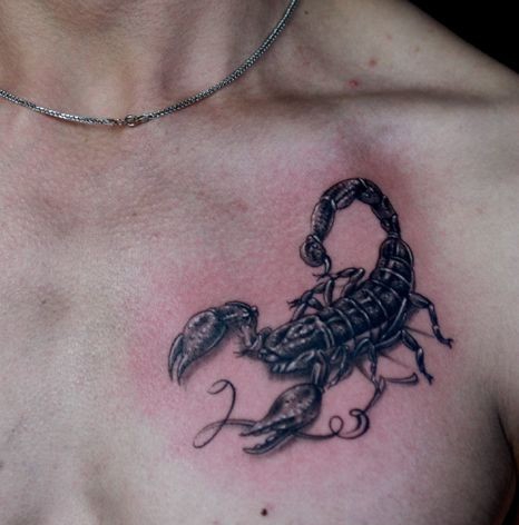 点击大图看下一张：经典的男士胸部蝎子纹身图案大全