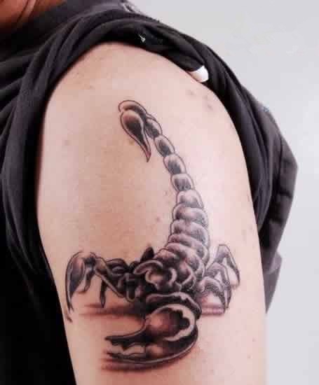 点击大图看下一张：帅气逼真的手臂大臂蝎子纹身图案