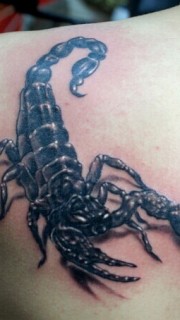 个性逼真的蝎子纹身