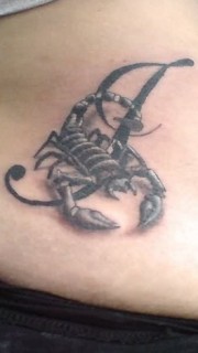 一只蝎子“寄居”在腰部