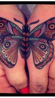 双手合并的蝴蝶