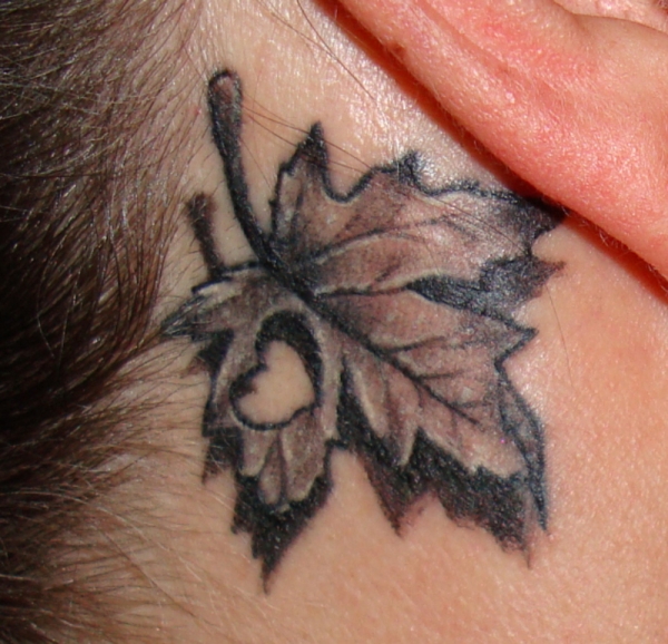 点击大图看下一张：耳背个性的枫叶纹身