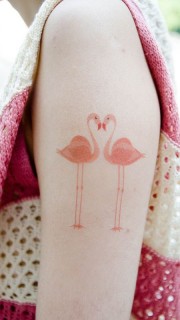 纹在手臂上粉色小天鹅