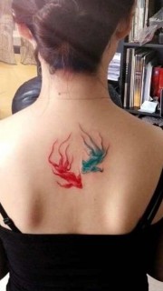 红蓝情侣鱼纹身