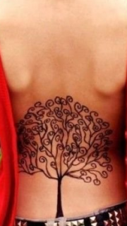性感美女后背可爱树纹身图