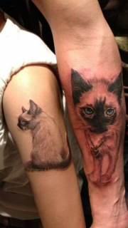 个性情侣手臂可爱猫咪纹身
